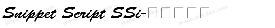 Snippet Script SSi字体转换